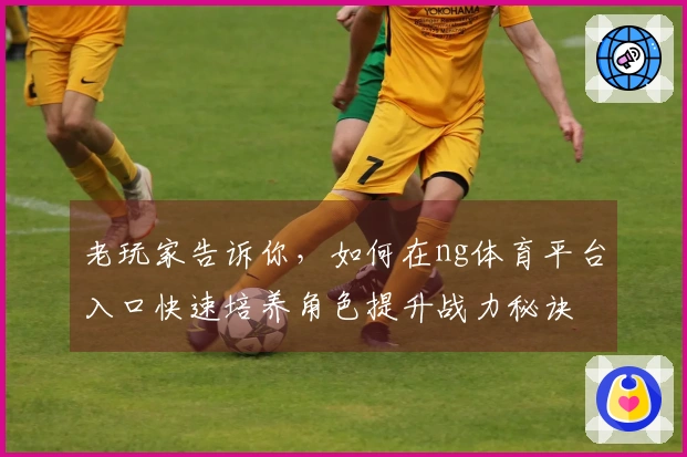 老玩家告诉你，如何在ng体育平台入口快速培养角色提升战力秘诀