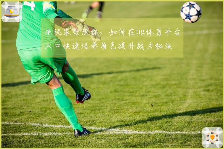 老玩家告诉你，如何在ng体育平台入口快速培养角色提升战力秘诀